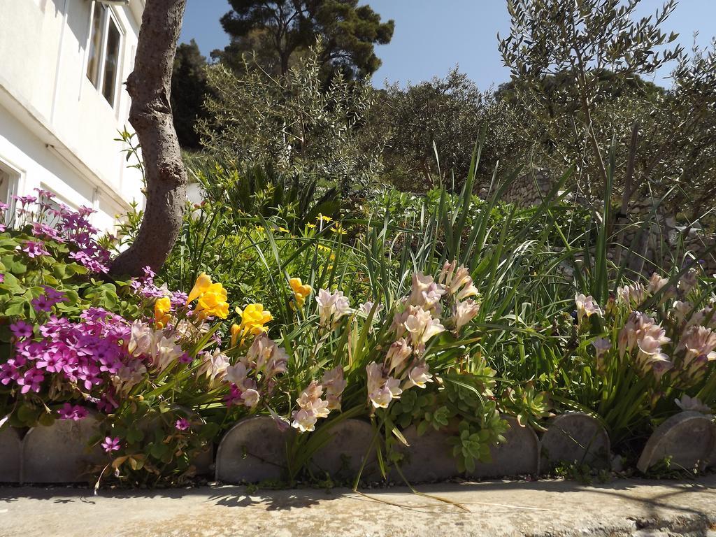Guest House Vuljan Hvar Town Kültér fotó